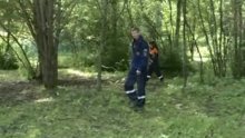 В Шекснинском районе разыскивают заблудившуюся в лесу женщину